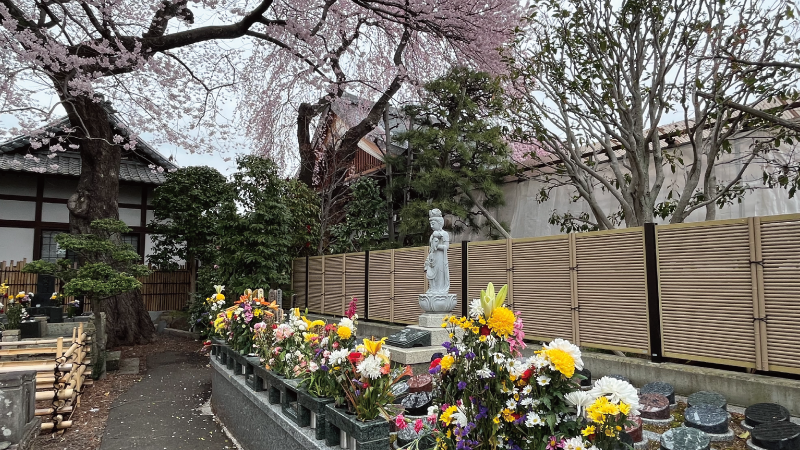 樹木葬